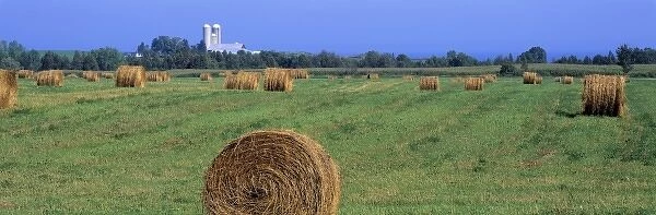 USA, Wisconsin, Kewaunee Co. Hay rolls will be stored and used as feed in Kewaunee County