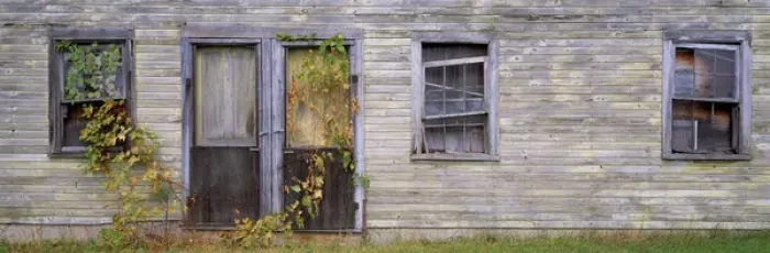 Framed Print : USA, Wisconsin, Kewaunee Co. Vines invade an old wooden house in Kewaunee County
