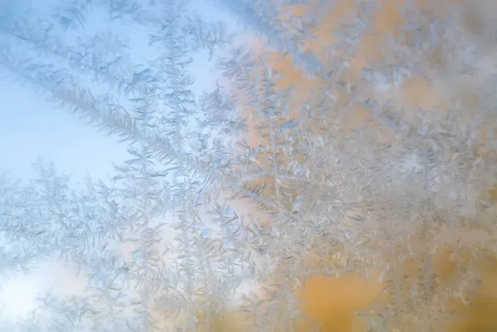 Framed Print : USA, Wisconsin, Madison. Frost patterns formed on glass