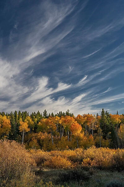 USA, Wyoming. Autumn afternoon clouds, Grand Teton National Park