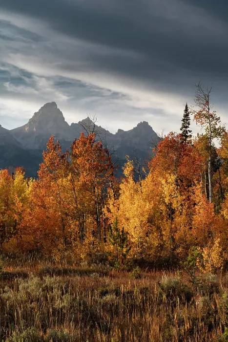 Framed Print : USA, Wyoming. Autumn evening near Black Tail Butte, Grand Teton National Park Framed Print : USA, Wyoming. Autumn evening near Black Tail Butte, Grand Teton National Park