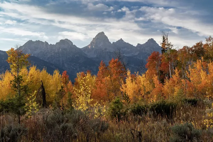 Framed Print : USA, Wyoming. Autumn evening near Black Tail Butte, Grand Teton National Park