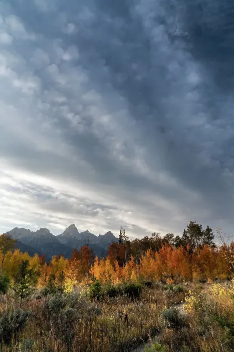 Framed Print : USA, Wyoming. Autumn evening near Black Tail Butte, Grand Teton National Park Framed Print : USA, Wyoming. Autumn evening near Black Tail Butte, Grand Teton National Park