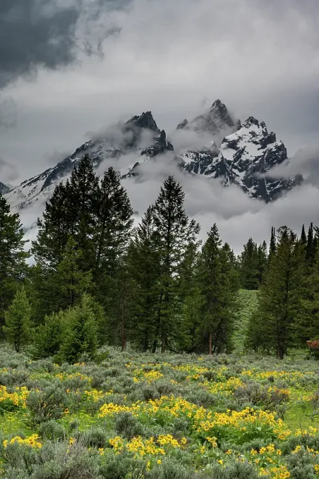 Framed Print : USA, Wyoming. Cathedral view of Mount Teewinot, Grand Teton and Mount Owen Framed Print : USA, Wyoming. Cathedral view of Mount Teewinot, Grand Teton and Mount Owen