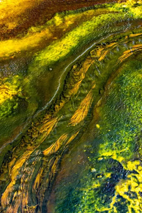 Framed Print : USA, Wyoming. Colorful bacteria mat run-off at Pump Springs, Yellowstone National Park Framed Print : USA, Wyoming. Colorful bacteria mat run-off at Pump Springs, Yellowstone National Park