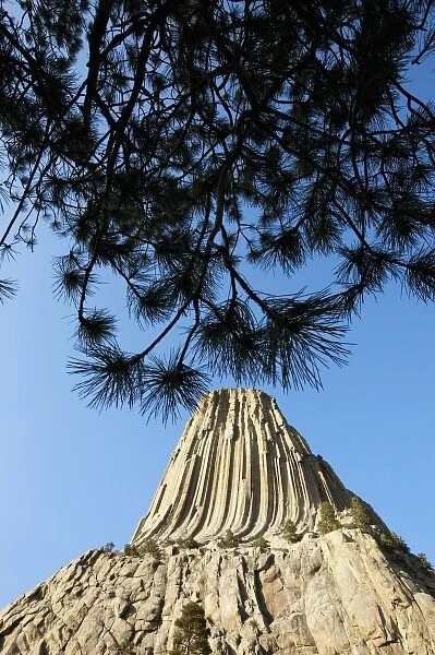 USA, Wyoming, Devils Tower National Monument, Devils Tower is a 1267 foot tall monolithic