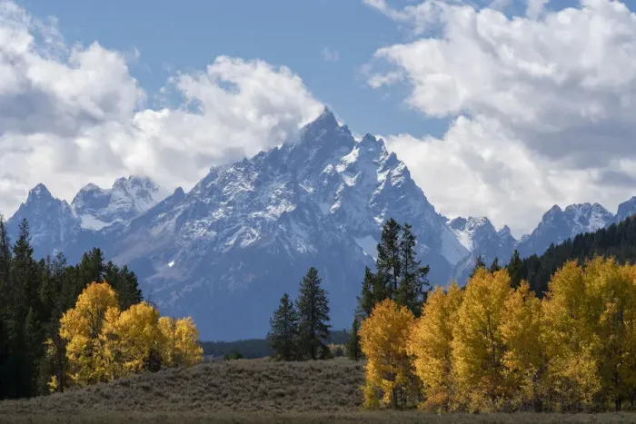Framed Print : USA, Wyoming. Grand Teton with colorful autumn foliage, Grand Teton National Park Framed Print : USA, Wyoming. Grand Teton with colorful autumn foliage, Grand Teton National Park