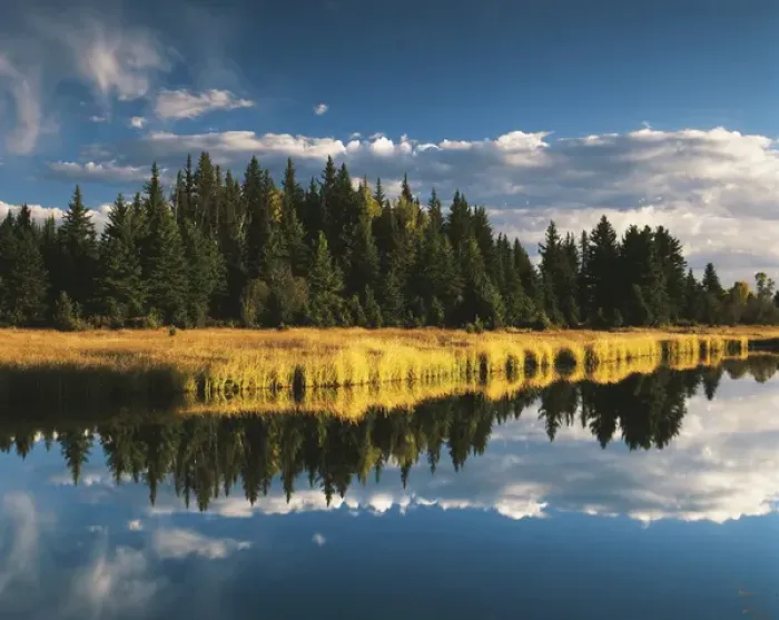 Framed Print : USA, Wyoming, Grand Teton National Park, Trees reflecting in Snake River