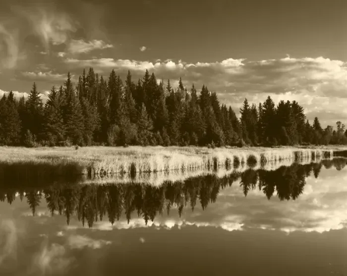 Framed Print : USA, Wyoming, Grand Teton National Park, Trees reflecting in Snake River Framed Print : USA, Wyoming, Grand Teton National Park, Trees reflecting in Snake River