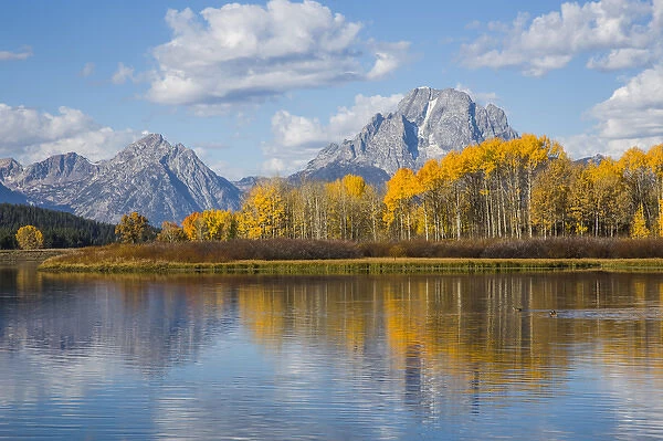 USA, Wyoming, Grand Teton National Park, autmn color along the Snake River Oxbow with Mt
