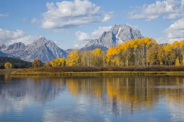 Framed Print : USA, Wyoming, Grand Teton National Park, autmn color along the Snake River Oxbow with Mt Framed Print : USA, Wyoming, Grand Teton National Park, autmn color along the Snake River Oxbow with Mt