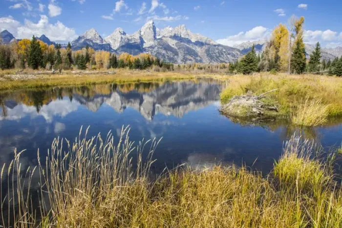 Framed Print : USA, Wyoming, Grand Teton National Park, the Grand Teton Mountains are reflected Framed Print : USA, Wyoming, Grand Teton National Park, the Grand Teton Mountains are reflected
