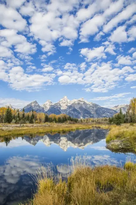 Framed Print : USA, Wyoming, Grand Teton National Park, autmn color along the Snake River at Schwabacher Framed Print : USA, Wyoming, Grand Teton National Park, autmn color along the Snake River at Schwabacher