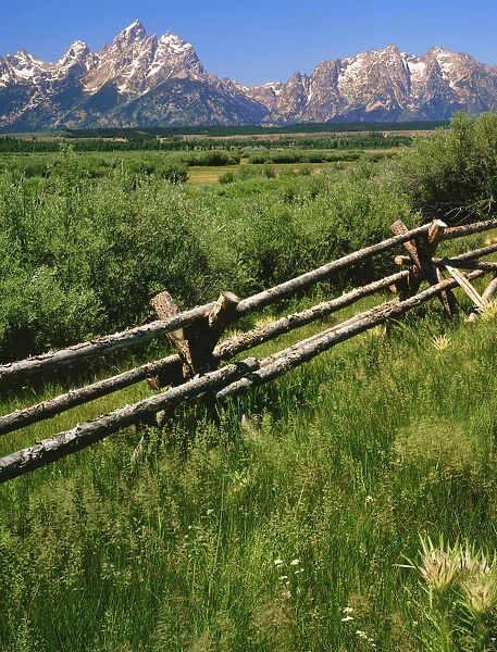 USA, Wyoming, Grand Teton National Park. Split-rail fence and mountain landscape