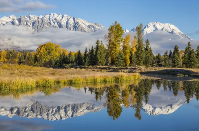 Framed Print : USA, Wyoming. Grand Teton National Park, Schwabacher Landing, Mt