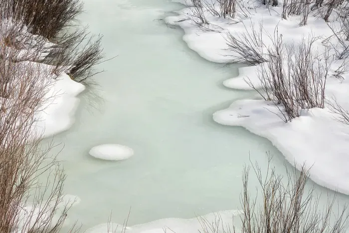 Framed Print : USA, Wyoming, Grand Teton National Park, Jackson. Ice and willows on Pacific Creek Framed Print : USA, Wyoming, Grand Teton National Park, Jackson. Ice and willows on Pacific Creek