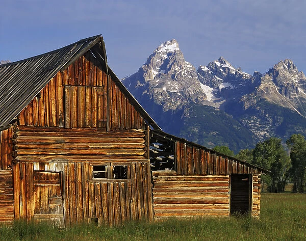 USA, Wyoming, Grand Teton National Park. A weathered wooden barn along Mormon Row