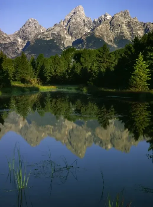 Framed Print : USA, Wyoming, Grand Teton National Park. Teton Mountains reflected in beaver pond Framed Print : USA, Wyoming, Grand Teton National Park. Teton Mountains reflected in beaver pond