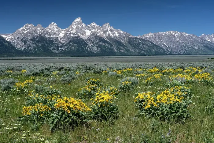Framed Print : USA, Wyoming. Grand Teton Range, Grand Teton National Park Framed Print : USA, Wyoming. Grand Teton Range, Grand Teton National Park