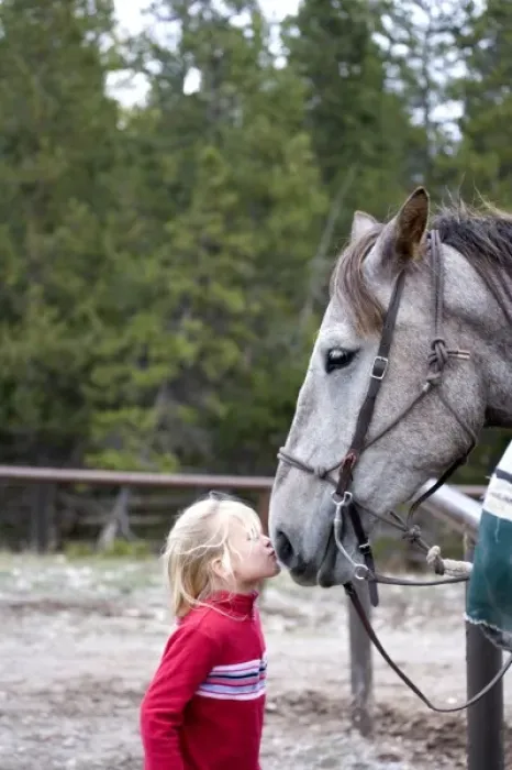 Framed Print : USA. Wyoming. Grand Tetons National Park. Girl kisses horse at a stable in the Tetons