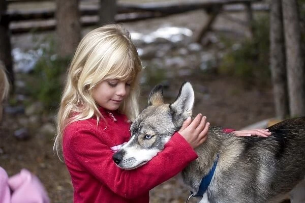 USA. Wyoming. Grand Tetons National Park. Young girl pets Husky puppy. (MR)