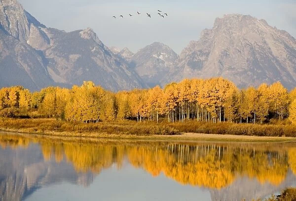 USA, Wyoming, Grand Tetons National Park. Birds fly over Oxbow Bend in the the Tetons