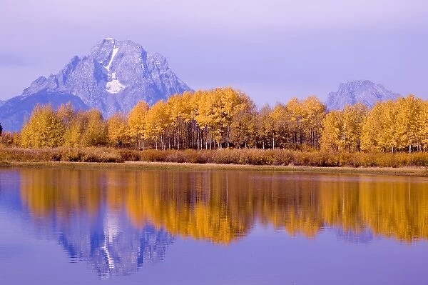 USA, Wyoming, Grand Tetons National Park. Aspen trees reflect in Oxbow Bend. Mt