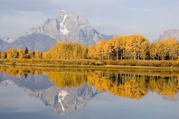 USA, Wyoming, Grand Tetons National Park. Aspen trees reflect in Oxbow bend. Mt