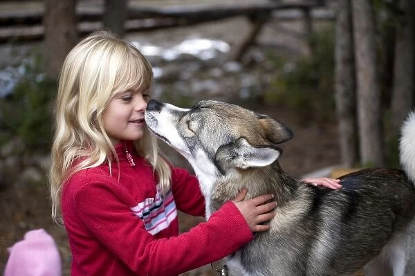 USA. Wyoming. Grand Tetons National Park. Young girl getting licked by Husky puppy. (MR)