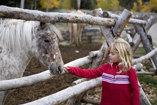 USA. Wyoming. Grand Tetons National Park. Young girl pets a spotted pony at a stable in the Tetons