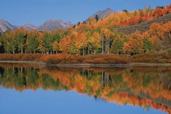 Framed Print : USA, Wyoming, Grand Tetons National Park in autumn, Mt Moren, Oxbow Bend Framed Print : USA, Wyoming, Grand Tetons National Park in autumn, Mt Moren, Oxbow Bend