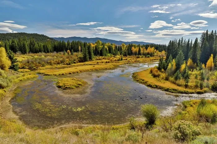 Framed Print : USA, Wyoming. Grand Tetons National Park bend in the Buffalo Fork River along Highway 26 with golden Fall Colors Framed Print : USA, Wyoming. Grand Tetons National Park bend in the Buffalo Fork River along Highway 26 with golden Fall Colors
