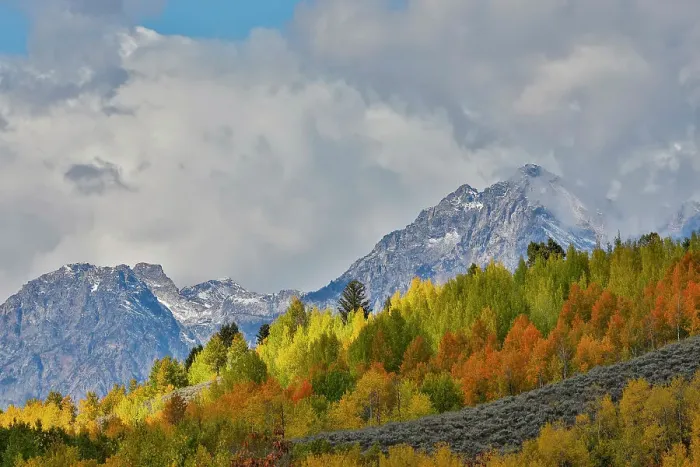 Framed Print : USA, Wyoming. Grand Tetons National Park near Oxbow Bend on the Snake River with Fall colored Aspen grove and backdrop Teton Mountains coming through low clouds Framed Print : USA, Wyoming. Grand Tetons National Park near Oxbow Bend on the Snake River with Fall colored Aspen grove and backdrop Teton Mountains coming through low clouds