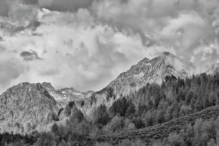 Framed Print : USA, Wyoming. Grand Tetons National Park near Oxbow Bend on the Snake River with Fall colored Aspen grove and backdrop Teton Mountains coming through low clouds Framed Print : USA, Wyoming. Grand Tetons National Park near Oxbow Bend on the Snake River with Fall colored Aspen grove and backdrop Teton Mountains coming through low clouds