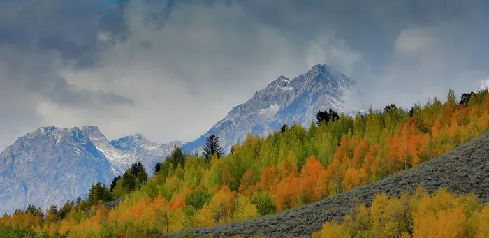 Framed Print : USA, Wyoming. Grand Tetons National Park near Oxbow Bend on the Snake River with Fall colored Aspen grove and backdrop Teton Mountains coming through low clouds