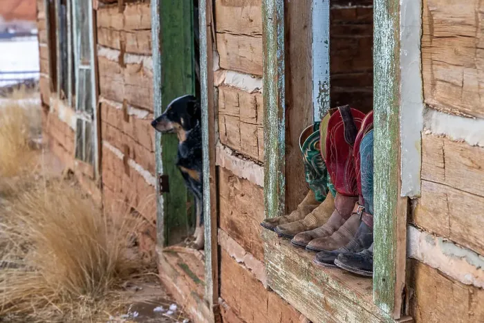 Framed Print : USA, Wyoming. Hideout Horse Ranch, boots on display. (PR)