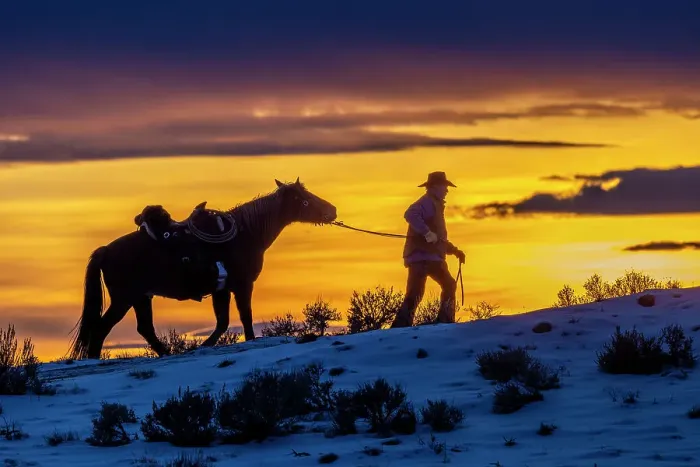 Framed Print : USA, Wyoming. Hideout Horse Ranch, wrangler and horse at sunset. (MR, PR)