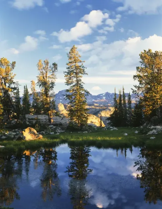 Framed Print : USA, Wyoming, Landscape with reflection of lake Framed Print : USA, Wyoming, Landscape with reflection of lake
