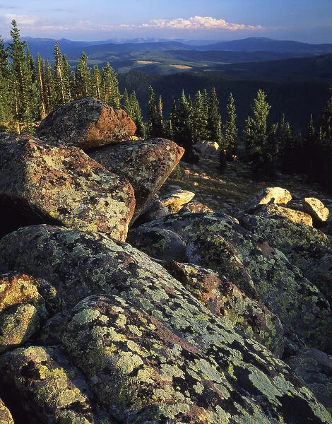 USA, Wyoming, Lichen covered on boulders on Continental Divide