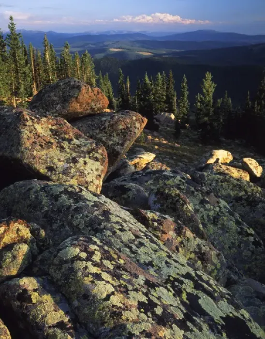 Framed Print : USA, Wyoming, Lichen covered on boulders on Continental Divide Framed Print : USA, Wyoming, Lichen covered on boulders on Continental Divide