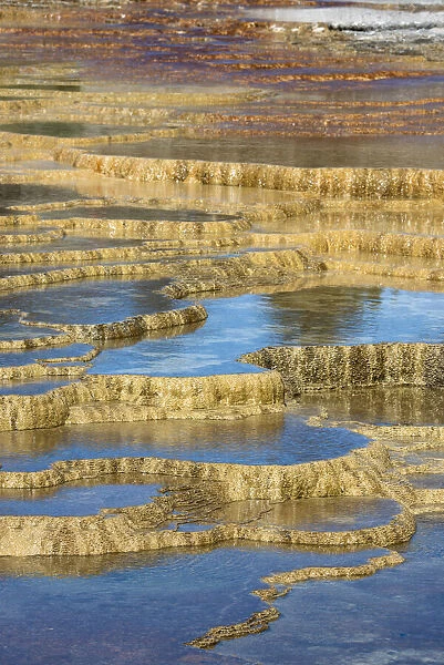 USA, Wyoming. Mineral deposit formation. Mammoth Hot Springs, Yellowstone National Park