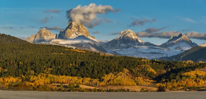 Framed Print : Usa, Wyoming. Panorama of Golden aspen trees, fall foliage near Jackson Framed Print : Usa, Wyoming. Panorama of Golden aspen trees, fall foliage near Jackson