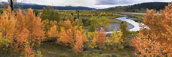 USA, Wyoming. Panoramic. Colorful autumn foliage with river, clouds, and mountains