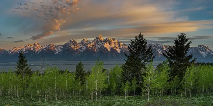 Framed Print : USA, Wyoming. Panoramic of Teton Mountains with Aspen and evergreen trees Framed Print : USA, Wyoming. Panoramic of Teton Mountains with Aspen and evergreen trees