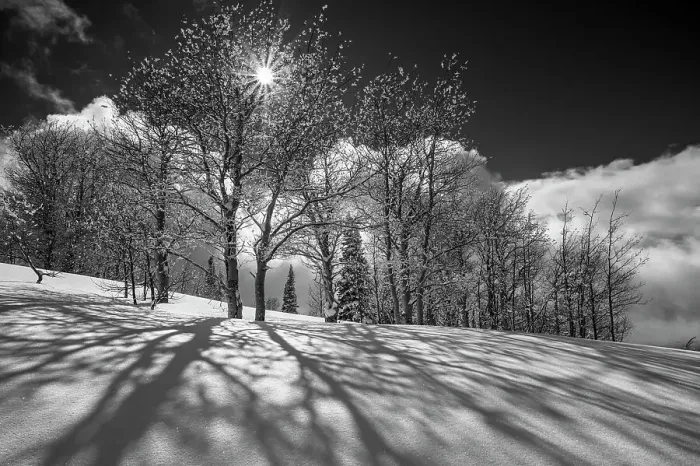 Framed Print : USA, Wyoming. Shadows and sunstar and a snowy, winter landscape in the Teton Mountains near Jackson Framed Print : USA, Wyoming. Shadows and sunstar and a snowy, winter landscape in the Teton Mountains near Jackson