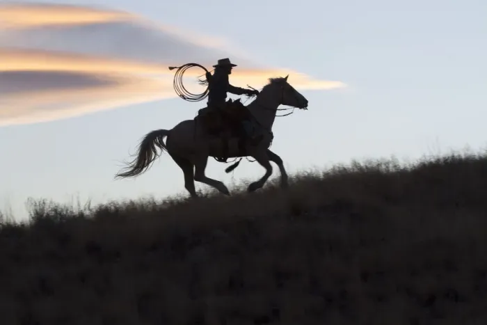 Framed Print : USA, Wyoming, Shell, The Hideout Ranch, Silhouette of Cowgirl with Horse at Sunset