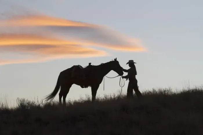 Framed Print : USA, Wyoming, Shell, The Hideout Ranch, Silhouette of Cowgirl with Horse at Sunset Framed Print : USA, Wyoming, Shell, The Hideout Ranch, Silhouette of Cowgirl with Horse at Sunset