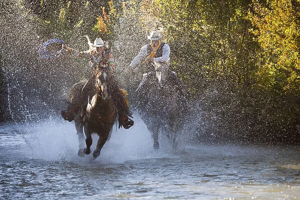 USA, Wyoming, Shell, The Hideout Ranch, Cowboy and Cowgirl on Horseback Running through the River