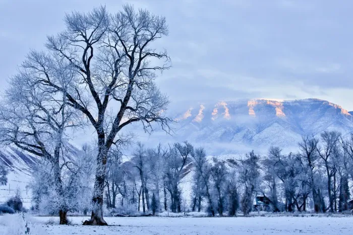 Framed Print : USA, Wyoming, Shell, Hoar Frost in the Valley, PR Framed Print : USA, Wyoming, Shell, Hoar Frost in the Valley, PR