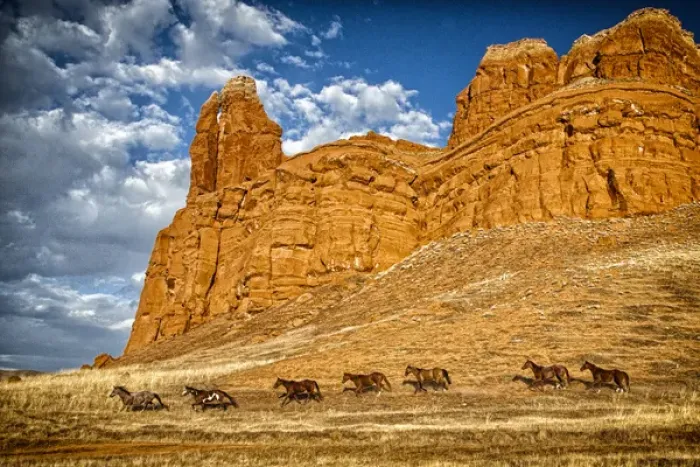 Framed Print : USA, Wyoming, Shell, Horses Running, PR Framed Print : USA, Wyoming, Shell, Horses Running, PR
